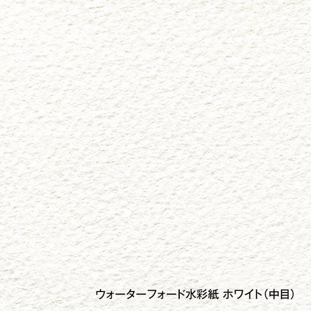 3冊セット ウォーターフォード水彩紙 ホワイト スプリング 300g 中目 EHS2-F6 (270927)_2