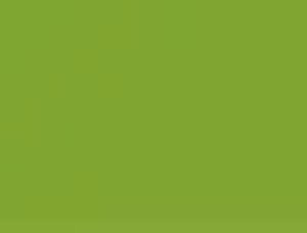 小島美術 GAO 石彩岩絵具 500g 金翅鳥色 (ヒワイロ) 8番