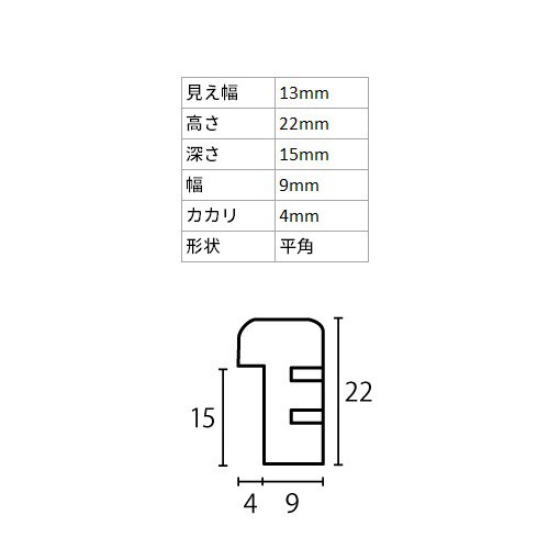 デッサン額縁 D816 オーク 半切 額内寸(545×424mm) 表面(アクリル) ラーソン・ジュール