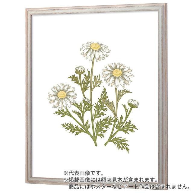 デッサン額縁 朱雀 白S 小全紙 額内寸(660×510mm) 表面(アクリル) ラーソン・ジュール_1