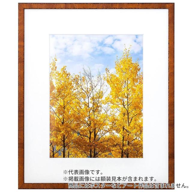 水彩額縁 カリマンタン オーク 水彩F6 額内寸(550×458mm) 表面(アクリル) ラーソン・ジュール