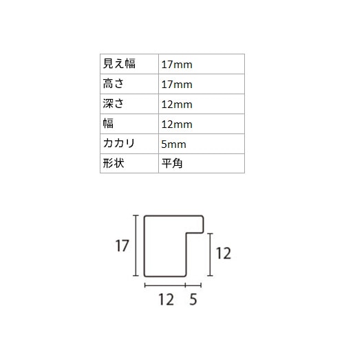 水彩額縁 アンドーバー 黒 水彩F6S 額内寸(520×428mm) 表面(アクリル) ラーソン・ジュール