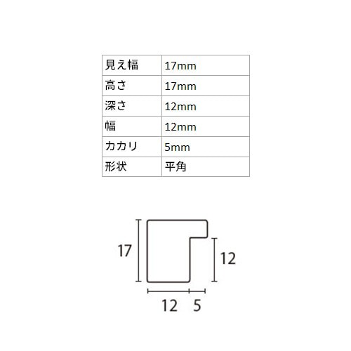 横長額縁 アンドーバー 銀 50×25 額内寸(500×250mm) 表面(アクリル) ラーソン・ジュール