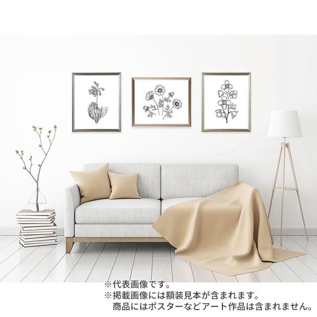 インテリア　美術品　デッサン　書　アート デッサン額縁 フォークストン S青 全紙 額内寸(727×545mm) 表面