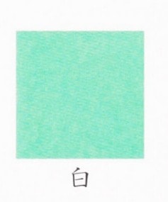 ナカガワ胡粉絵具 007410-14 天然岩絵具 松葉緑青 14(白) 極細 500g