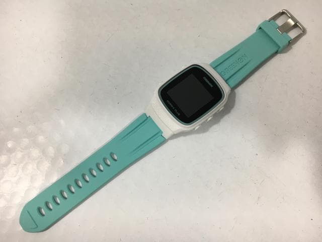 グリーンオン ザ・ゴルフウオッチ ノルムⅡ プラス used THE GOLF WATCH NORM II PLUS | GREENON