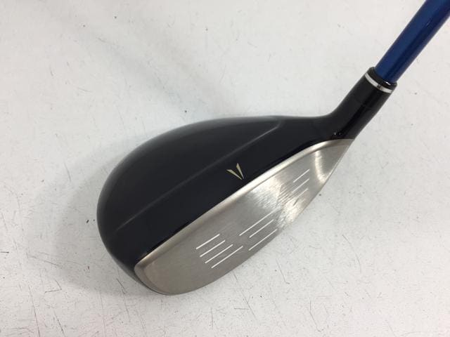 XXIO13 6番アイアン 純正カーボンシャフト フレックスR Gold スポーツ