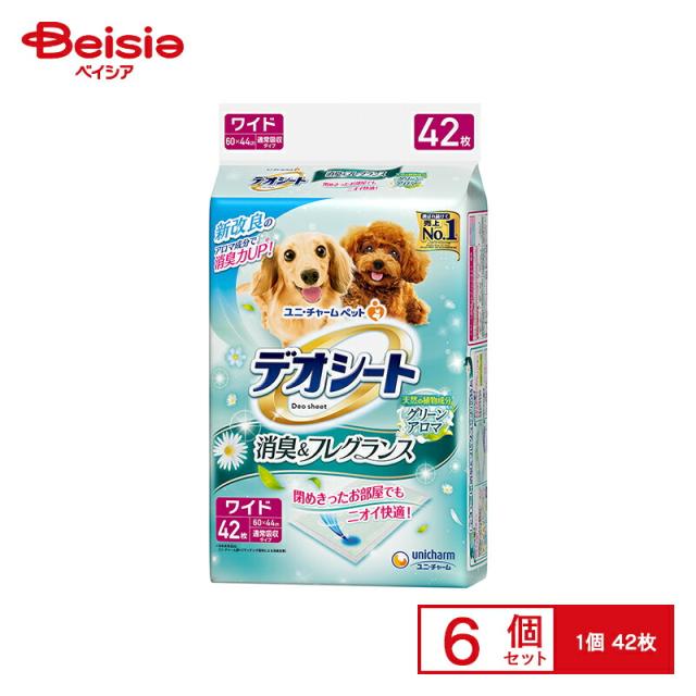 ソレル フットウェア 【24秋冬】ユースフルーリープリント 1/19.0cm