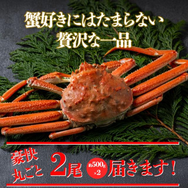 ボイルズワイ蟹（姿）2尾／約1000g(500g×2） | ボイルズワイ蟹 ズワイ蟹 蟹 カニ 姿 2尾 1kg 1000g お正月 年末年始 パーティー 家族向け お祝い グルメ 海鮮_1
