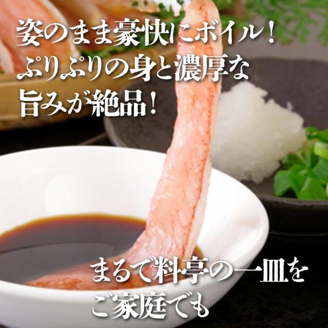 ボイルズワイ蟹（姿）2尾／約1000g(500g×2） | ボイルズワイ蟹 ズワイ蟹 蟹 カニ 姿 2尾 1kg 1000g お正月 年末年始 パーティー 家族向け お祝い グルメ 海鮮_2