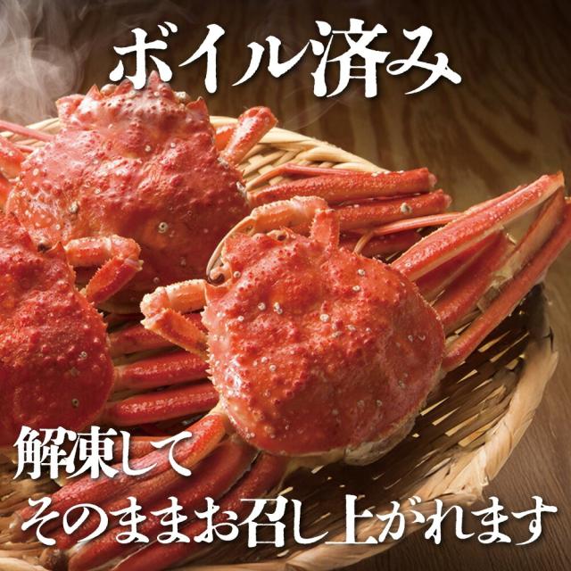 ボイルズワイ蟹（姿）2尾／約1000g(500g×2） | ボイルズワイ蟹 ズワイ蟹 蟹 カニ 姿 2尾 1kg 1000g お正月 年末年始 パーティー 家族向け お祝い グルメ 海鮮_3