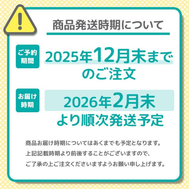 ランドセル くるピタ レインボースパーク 2026年モデル マツモト | ランドセル 女の子 2026 くるピタ レインボー スパーク キラキラ 入学祝い プレゼント 小学生_16