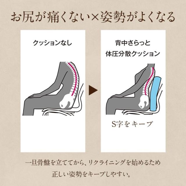 洗える 体圧分散 よりかかり クッション 車いす 介護 約50×50cm 介護用品 イケヒコ_4