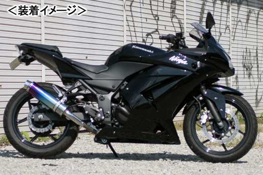 REALIZE Aria Ti TypeS（チタン） マフラー/Ninja250R［JBK-EX250K］ 507-SO-001-02