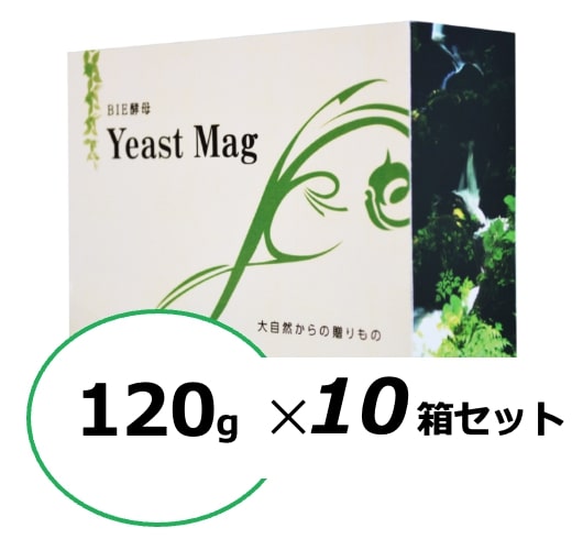 イーストマグ120g （2gx60包） 新樹 【数量】10の通販は