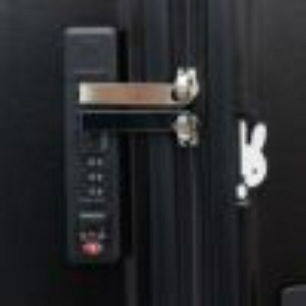 ミッフィーmiffy スーツケース（Lサイズ） フェイスブラック キャリー