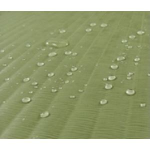 40枚セット ジョイントマット 和み JQN-45 グリーン 厚10mm×450mm