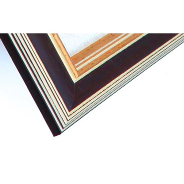 日本画額 紘黒フレームセット F6号 伊藤渓山 「赤富士」 459×550