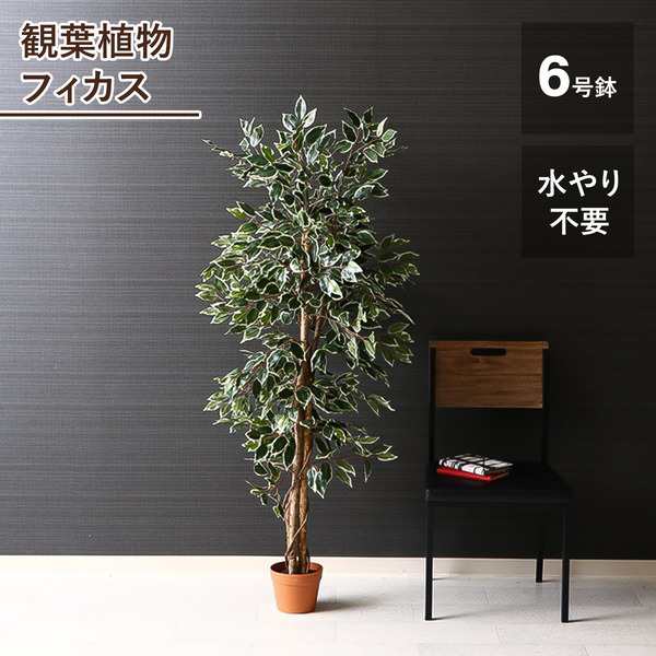 観葉植物 造花 約幅80cm スプリット 6号鉢対応 22 52667 インテリア