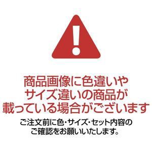 ゴミ箱 ダストボックス 幅20.3×奥行38.4×高さ43cm 20L ネイビー 10個