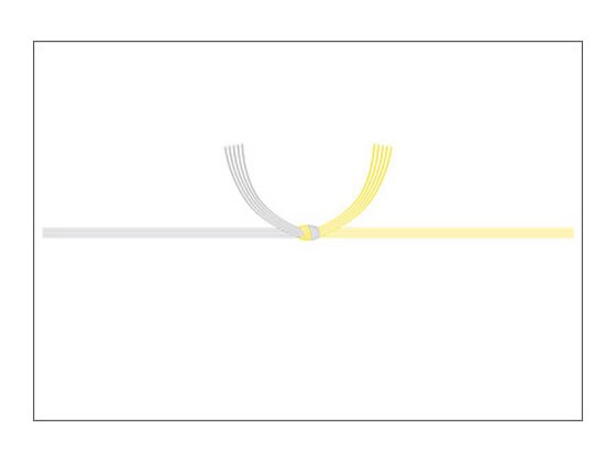 のし紙 京印 黄水引 半紙判 100枚 タカ印 2-245