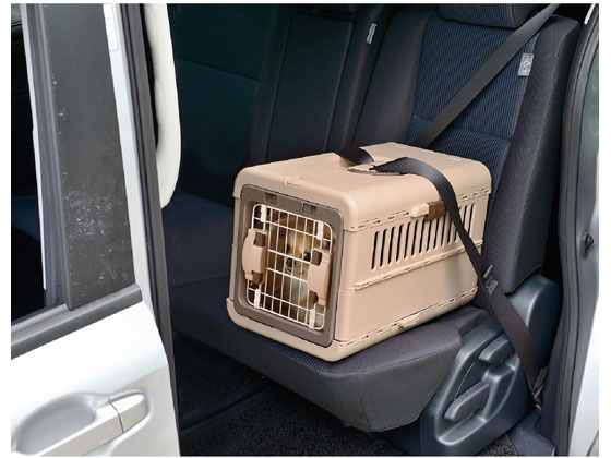 Richell キャンピングキャリー　折りたたみ　L ダークブラウン リッチェル（Richell） キャンピングキャリー L ダークブラウン 犬