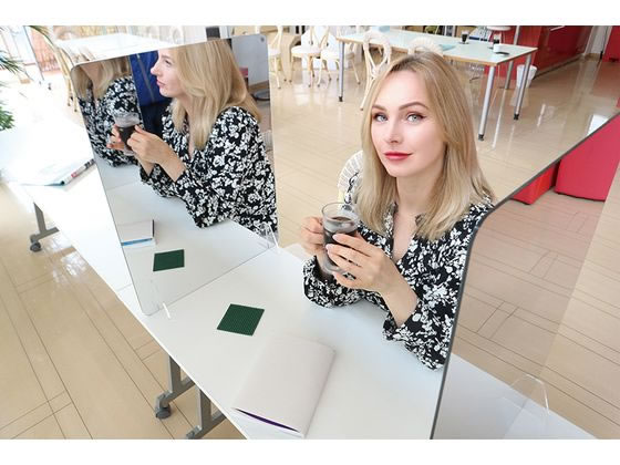 飛沫防止アクリルミラーパーティション 幅450×高さ600mm カーボーイ FM-54 5,850円