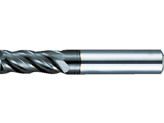 マルチリードRF100F 軟鋼用4枚刃レギュラー刃径12mm グーリングジャパン 4724089の通販は