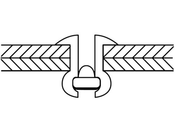 エビ/ブラインドリベット(アルミニウム／ステンレス製) 6-16(500本入