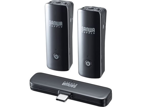 ワイヤレスマイク マイク2台 サンワサプライ MM-MCW02の通販は 17,399円