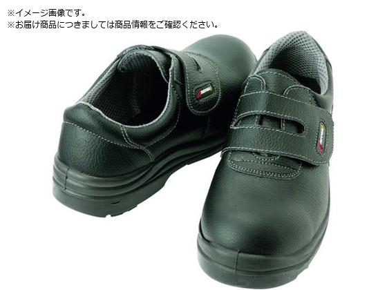 Seagull CosmicEnergy ロングボード