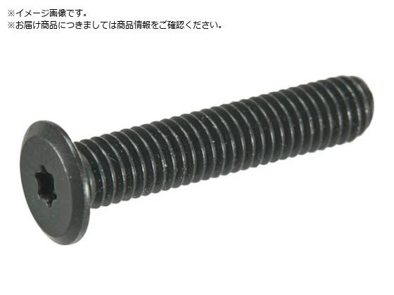TRUSCO/ヘックスローブ超極低頭ねじ ステンレス 黒染 M2×8 10本 TRUSCO/ヘックスローブ超極低頭ねじ ステンレス 黒染 M2×8 10本