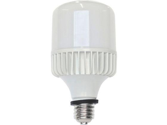 キラリトライトLEAD 工事用LED電球 口金E39 100