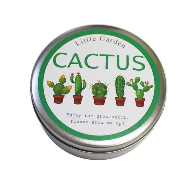 プレゼント 贈答品 サボテン Mix 栽培セット Gag Hbi Gix の通販はau Pay マーケット ララレディー