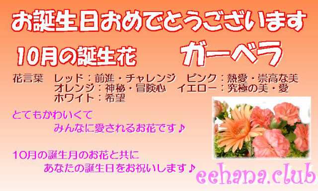 10月の誕生花ガーベラ アレンジ 花束 デザイナーにおまかせ 15 000円 送料無料 ネット特価 の通販はau Pay マーケット いいhana倶楽部