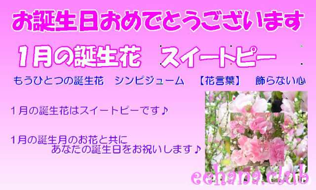 ポイント5倍 1月誕生花 デザイナーにおまかせフラワー5 000円 送料無料 ネット特価 の通販はau Pay マーケット いいhana倶楽部