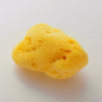 マリンスポンジ 毛穴汚れや皮脂が気になる季節に人気のフランス産海綿スポンジ の通販はau Pay マーケット ヘルシーラボ