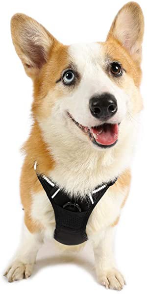 犬 ハーネス 中型犬 13.5-22.5KG 引っ張り防止胴輪 負担が少ない首輪 足を上げず装着完成 サイズ調整可 夜間反射安心散歩 抜けな...の通販はau  PAY マーケット au PAY マーケット店 au PAY マーケット－通販サイト