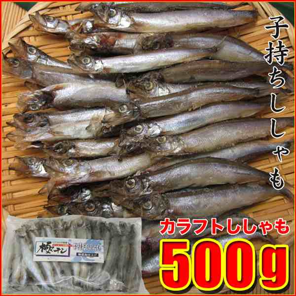 業務用 子持ちししゃも 500g 冷凍便 樺太ししゃも カラフトシシャモ お取り寄せグルメの通販はau Pay マーケット 食の達人森源商店