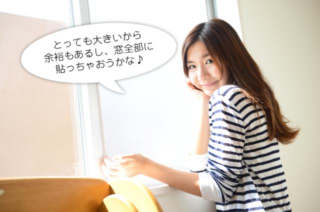 女性の一人暮らし人気商品 防犯カメラ 防犯灯等の防犯グッズと併用 ブラインドと併せて目隠しウィンドウフィルムプライバシーシールの通販はau Pay マーケット アトマイズ
