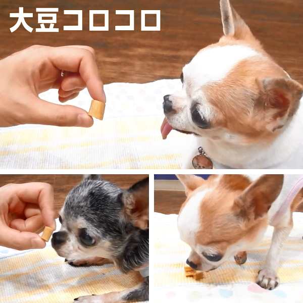 チワワ おやつ 大豆コロコロ 100g ベストパートナー チワワ 小型犬 おやつ ペット 無添加 無着色 の通販はau Pay マーケット チワワ専門店skipdog