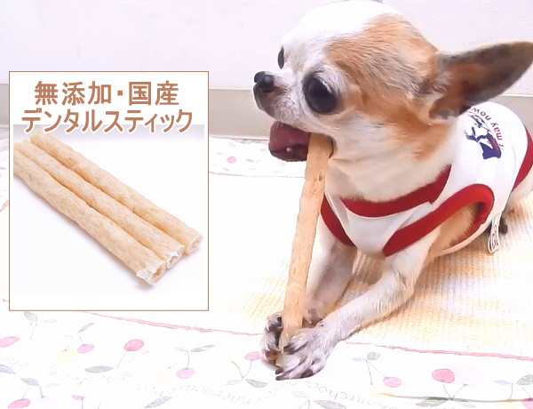 チワワ ガム スキップキッチン 無添加 国産 デンタルスティックガム チワワ 小型犬 歯磨きガム おやつ の通販はau Pay マーケット チワワ専門店skipdog