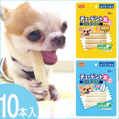Hartz チューデント ミニ 10本入 チワワ 小型犬 歯磨きガム おやつ の