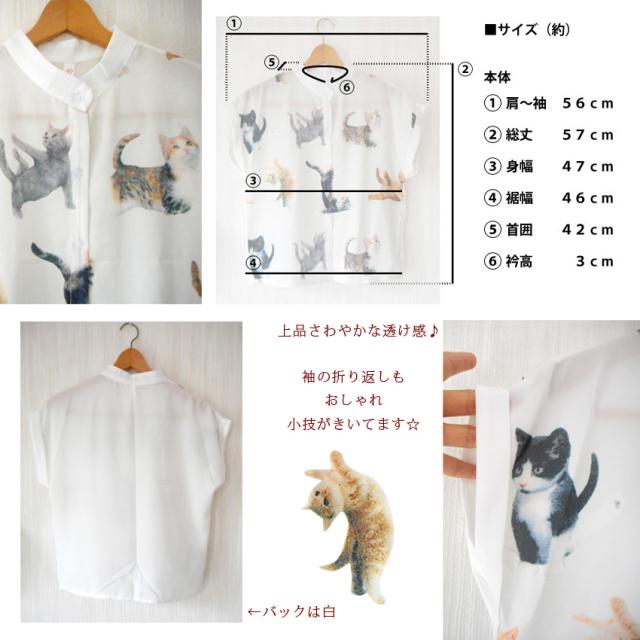 送料無料 ブラウス 猫 ねこ ネコ いたずら こねこ 白ブラウス ドルマン 仕立ての フレンチスリーブ 半袖 白シャツの通販はau Pay マーケット プラスチカネットショップ
