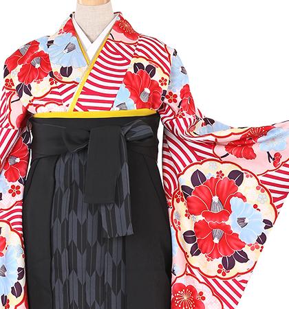 往復送料無料 全部揃って安心 大学 高校 小学生  2泊3日 卒業式袴 レンタル セット 紅白地 No.055-0087