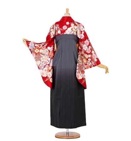 往復送料無料 全部揃って安心 大学 高校 小学生  2泊3日 卒業式袴 レンタル セット 赤地 No.055-0066