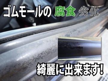 業務用 カーピカル ゴムモール磨き剤 100g ゴムモール苔 ゴムモール腐食 洗車用品 窓枠劣化 カーケア用品 洗車用品 コケ 劣化の通販はau Pay マーケット カーピカルｊａｐａｎ ｎｅｔ