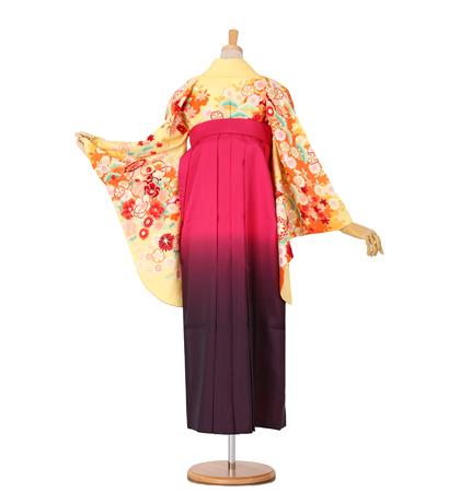 往復送料無料 全部揃って安心 大学 高校 小学生  2泊3日 卒業式袴 レンタル セット an・an 黄色地 No.055-0034