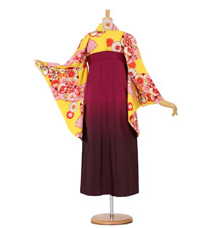 往復送料無料 全部揃って安心 大学 高校 小学生  2泊3日 卒業式袴 レンタル セット 黄色地 No.055-0044