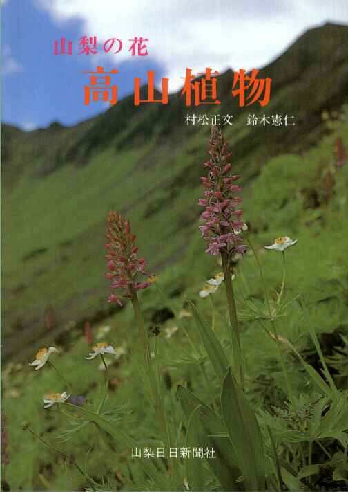 新品 山梨の花 高山植物 鈴木憲仁著 山日カラーブックスの通販はau Pay マーケット Webtenshindo